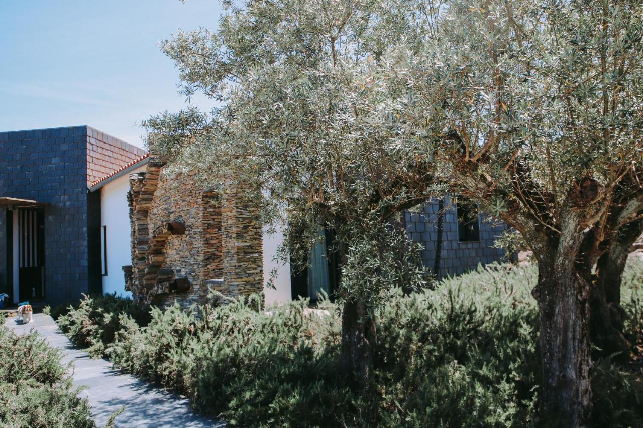 Casas Da Fontanheira Pensionat Marvão Exteriör bild